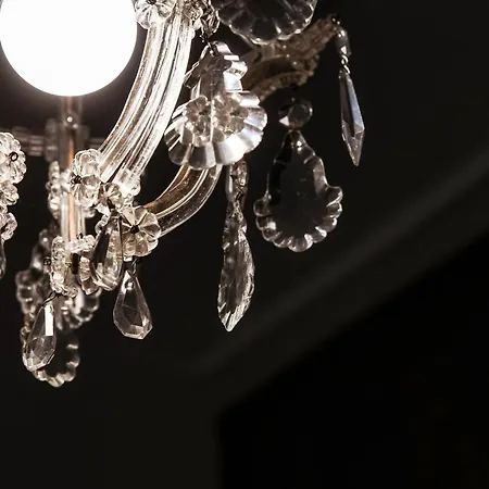 Lake's Vibes - The House Of Travelers